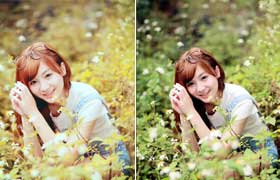 <b>Photoshop给植</b>