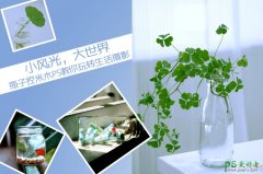 简单PS调出日系